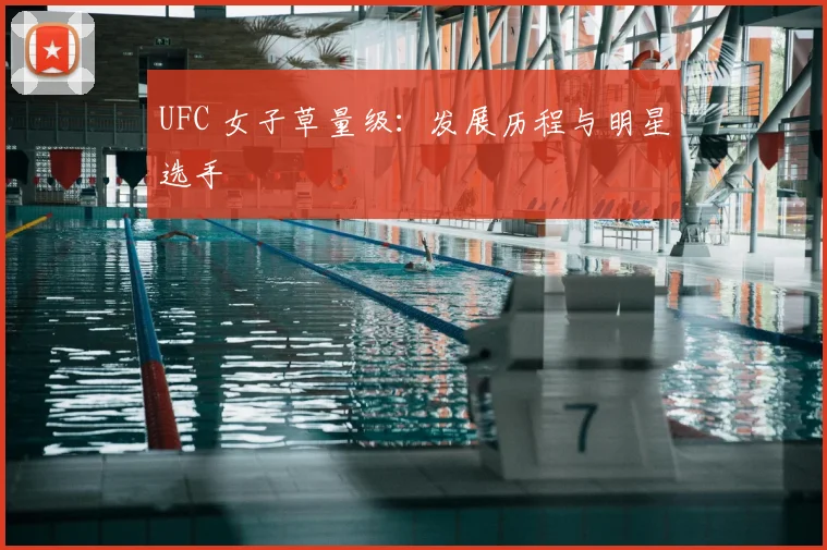 UFC 女子草量级：发展历程与明星选手