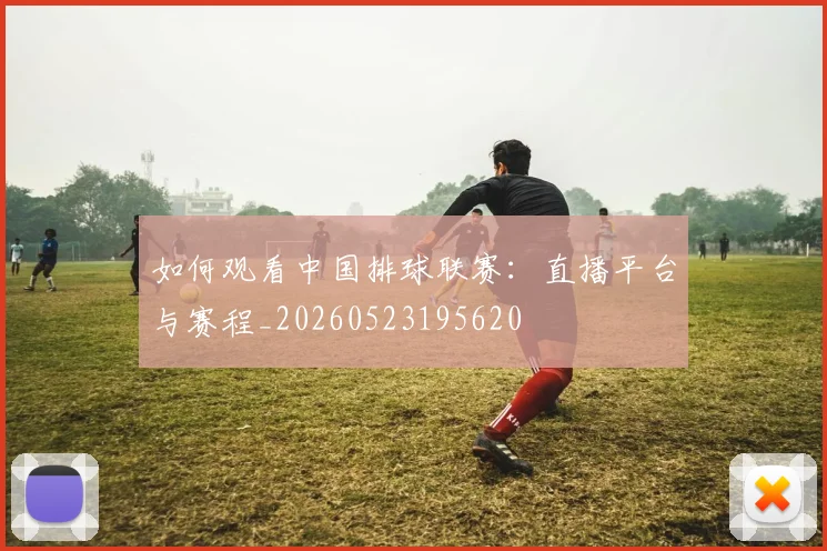 如何观看中国排球联赛：直播平台与赛程_20260523195620